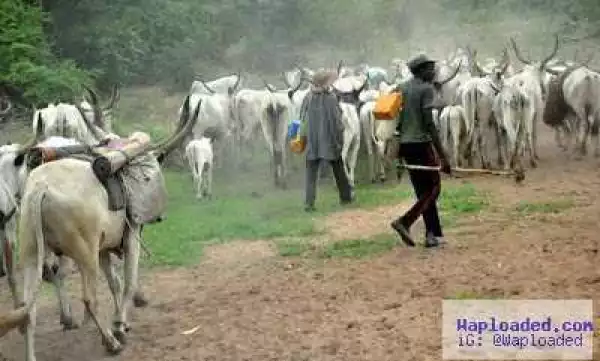 Fulani Herdsmen Sent To Kill My Secretary - Ali Modu Sheriff
